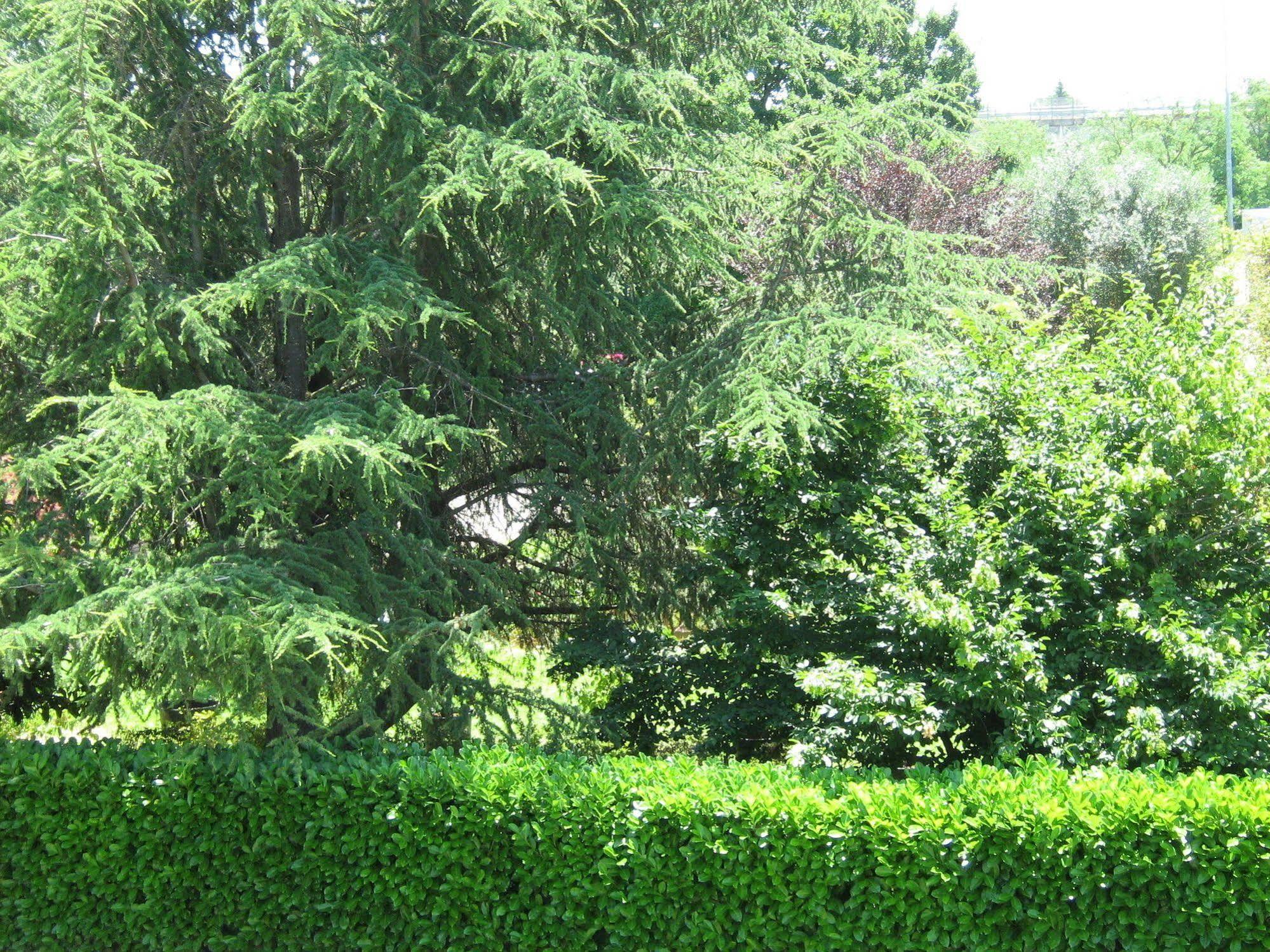 B&B I Fiori San Giustino ภายนอก รูปภาพ
